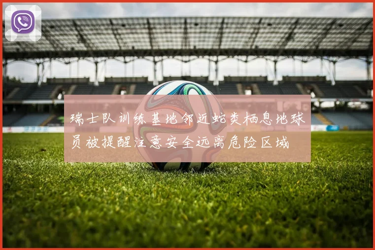 瑞士队训练基地邻近蛇类栖息地球员被提醒注意安全远离危险区域