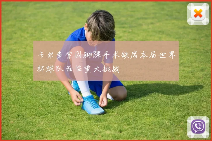 卡尔多索因脚踝手术缺席本届世界杯球队面临重大挑战