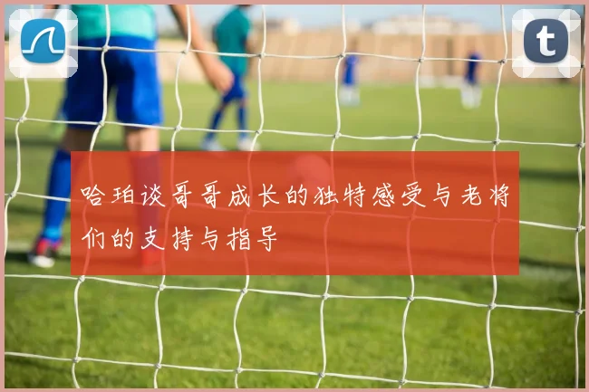 哈珀谈哥哥成长的独特感受与老将们的支持与指导
